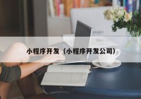 小程序开发（小程序开发公司）