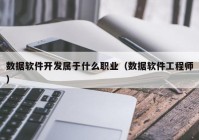 数据软件开发属于什么职业（数据软件工程师）