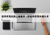 软件开发从网上哪里学（学软件开发从哪入手）