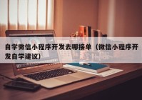 自学微信小程序开发去哪接单（微信小程序开发自学建议）