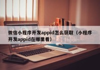 微信小程序开发appid怎么获取（小程序开发appid在哪里看）