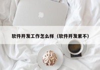 软件开发工作怎么样（软件开发累不）