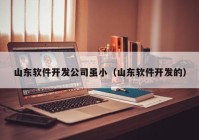 山东软件开发公司虽小（山东软件开发的）