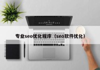 专业seo优化程序（seo软件优化）