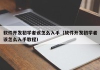 软件开发初学者该怎么入手（软件开发初学者该怎么入手教程）