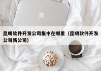 昆明软件开发公司集中在哪里（昆明软件开发公司新公司）