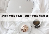 软件开发公司怎么样（软件开发公司怎么样的）