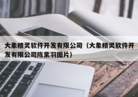 大象精灵软件开发有限公司（大象精灵软件开发有限公司陈紫羽图片）