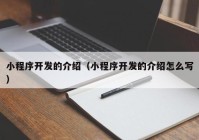 小程序开发的介绍（小程序开发的介绍怎么写）