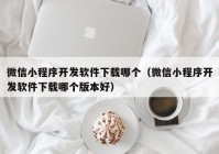 微信小程序开发软件下载哪个（微信小程序开发软件下载哪个版本好）