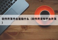 软件开发平台是指什么（软件开发和平台开发）