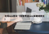 沈阳seo优化（沈阳专业seo关键词优化）