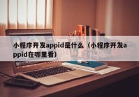 小程序开发appid是什么（小程序开发appid在哪里看）