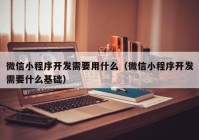 微信小程序开发需要用什么（微信小程序开发需要什么基础）