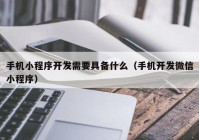 手机小程序开发需要具备什么（手机开发微信小程序）