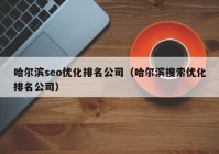 哈尔滨seo优化排名公司（哈尔滨搜索优化排名公司）