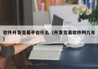 软件开发交易平台什么（开发交易软件判几年）