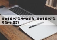 微信小程序开发用什么语言（微信小程序开发用到什么语言）