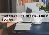 软件开发多少钱一个月（开发软件一个月最低多少工资?）