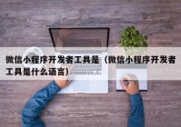 微信小程序开发者工具是（微信小程序开发者工具是什么语言）