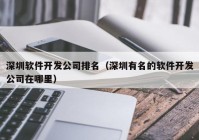 深圳软件开发公司排名（深圳有名的软件开发公司在哪里）