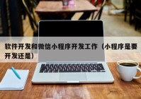 软件开发和微信小程序开发工作（小程序是要开发还是）