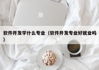 软件开发学什么专业（软件开发专业好就业吗）