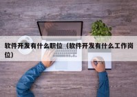 软件开发有什么职位（软件开发有什么工作岗位）