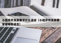 小程序开发需要学什么语言（小程序开发需要掌握哪些语言）