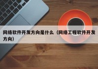 网络软件开发方向是什么（网络工程软件开发方向）