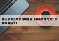 佛山软件开发公司哪里有（佛山软件开发公司哪里有招工）