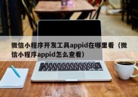 微信小程序开发工具appid在哪里看（微信小程序appid怎么查看）