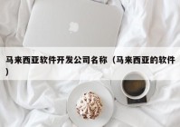 马来西亚软件开发公司名称（马来西亚的软件）