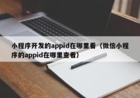 小程序开发的appid在哪里看（微信小程序的appid在哪里查看）