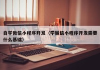 自学微信小程序开发（学微信小程序开发需要什么基础）