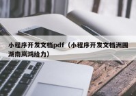 小程序开发文档pdf（小程序开发文档洲围湖南岚鸿给力）