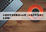 小程序开发需要会vue吗（小程序开发用什么需要）