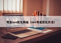 专业seo优化网站（seo专业优化方法）