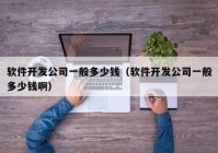 软件开发公司一般多少钱（软件开发公司一般多少钱啊）